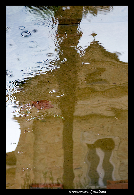 Reflex #1