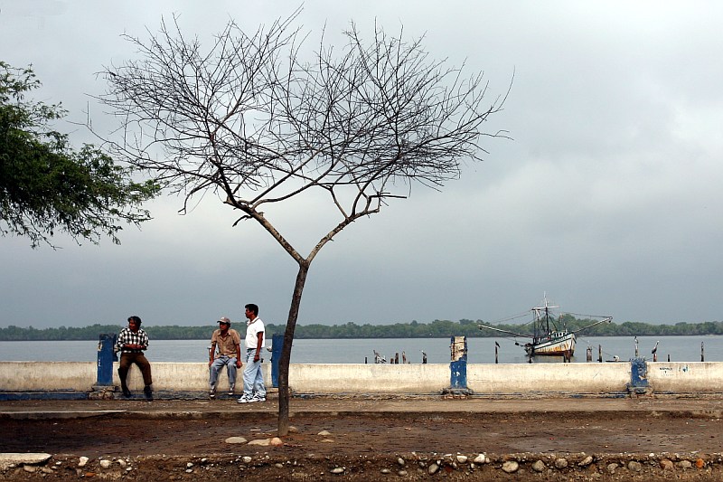 Machala 4