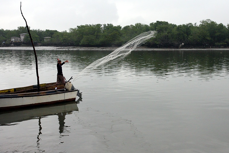 Machala 8