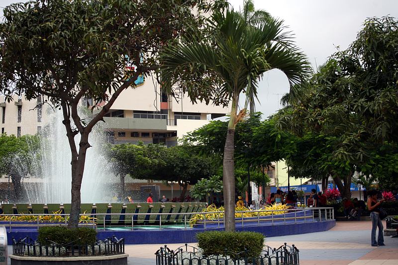 Machala 11