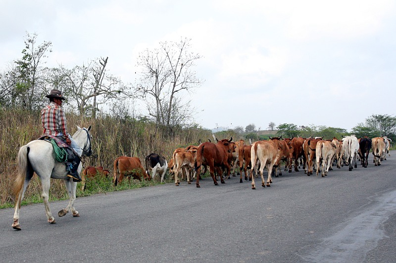 Incontri lungo la strada 3
