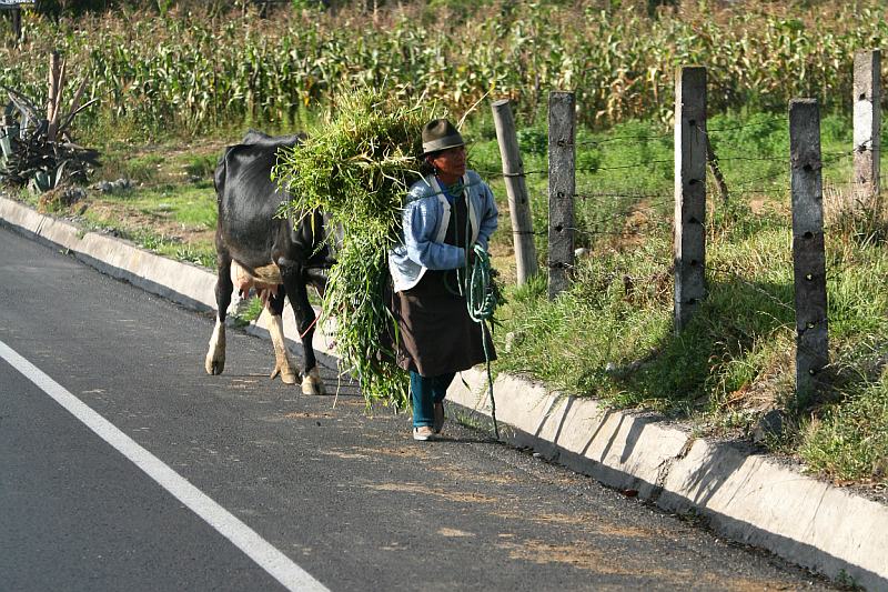 Incontri lungo la strada 6