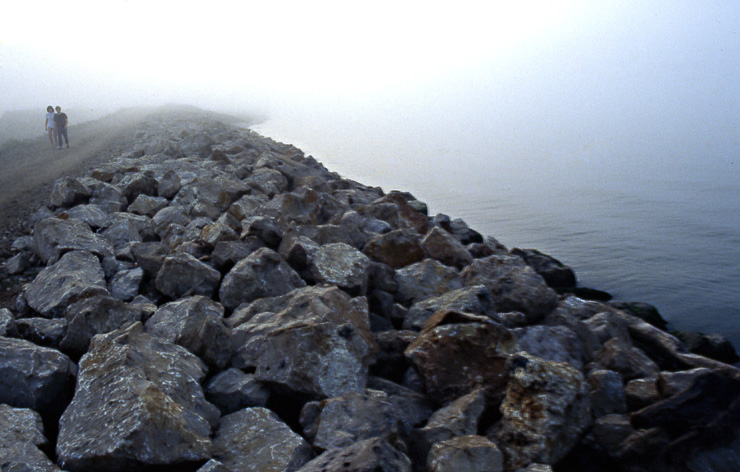 oltre la nebbia