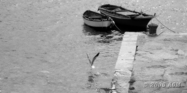 Sea Dream