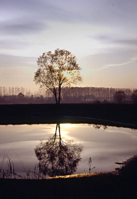 riflesso