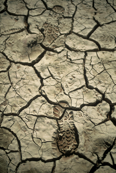 orme nel deserto