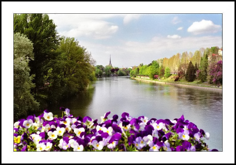 Il Fiume e la Mole