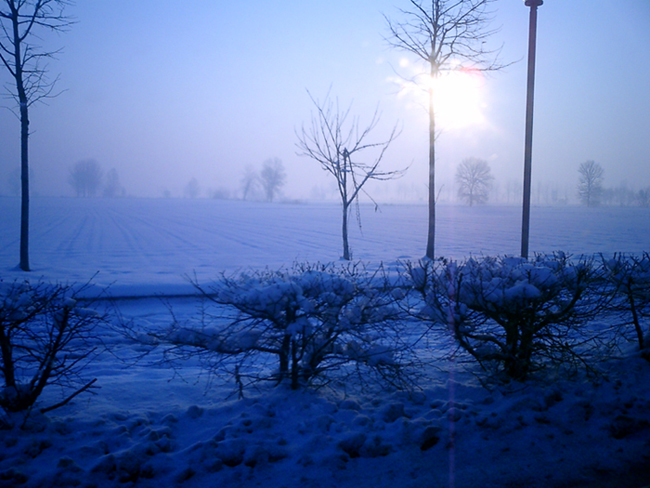 ICED SKY