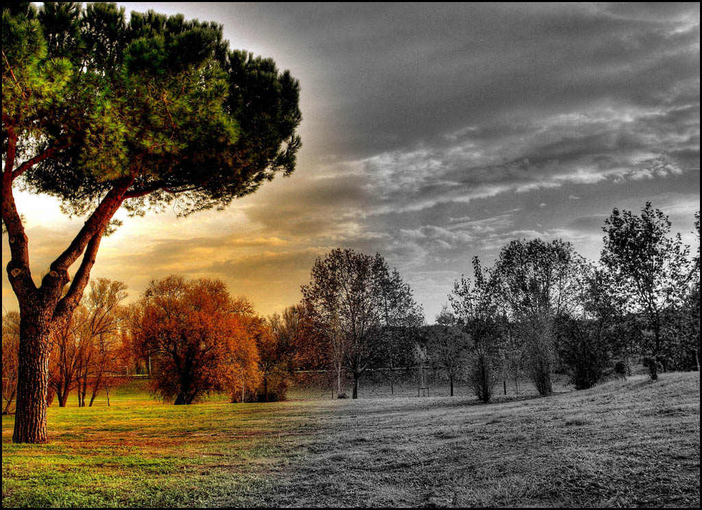 pino2 hdr