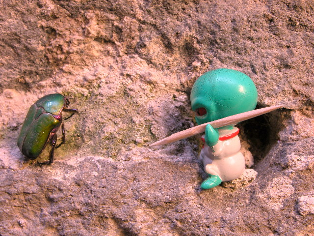 micro marziani 2