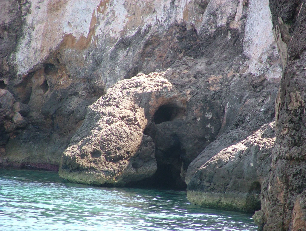 natura bizzarra1