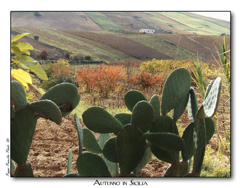 Autunno in Sicilia