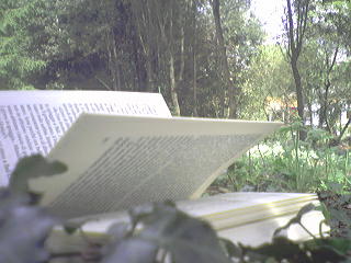 Libro Aperto