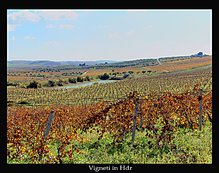 Vigneti