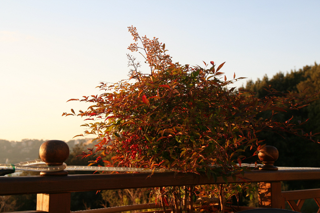 autunno