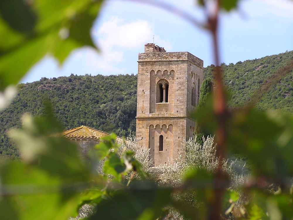 abbazia S.Antimo