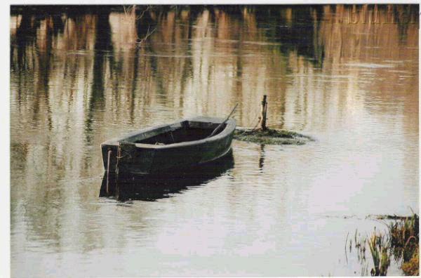 Sile