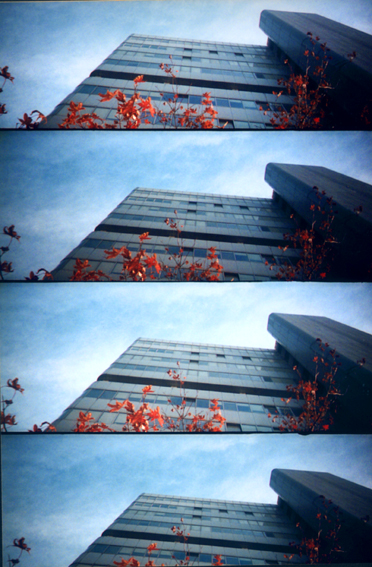 LOMObuilding&tree1