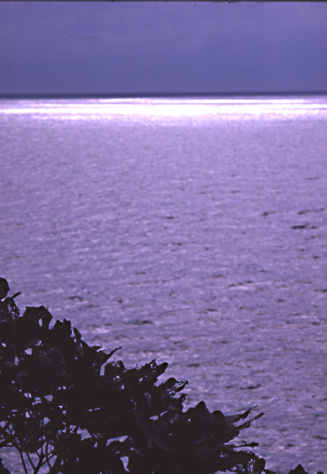 mare 3