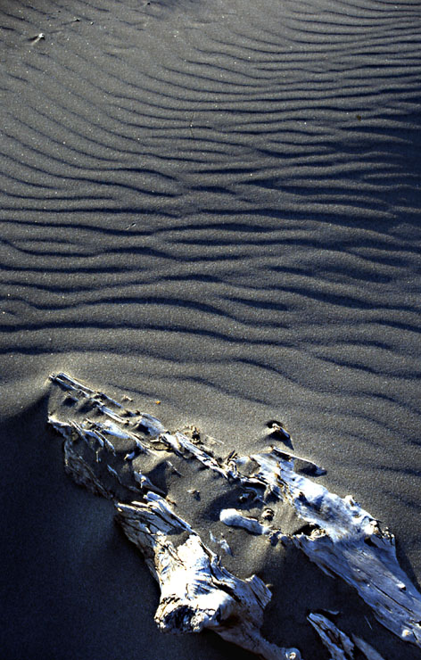 deserto