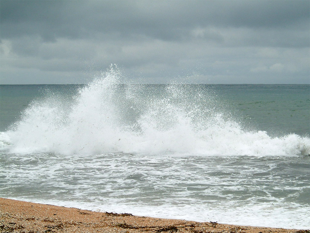 Wave
