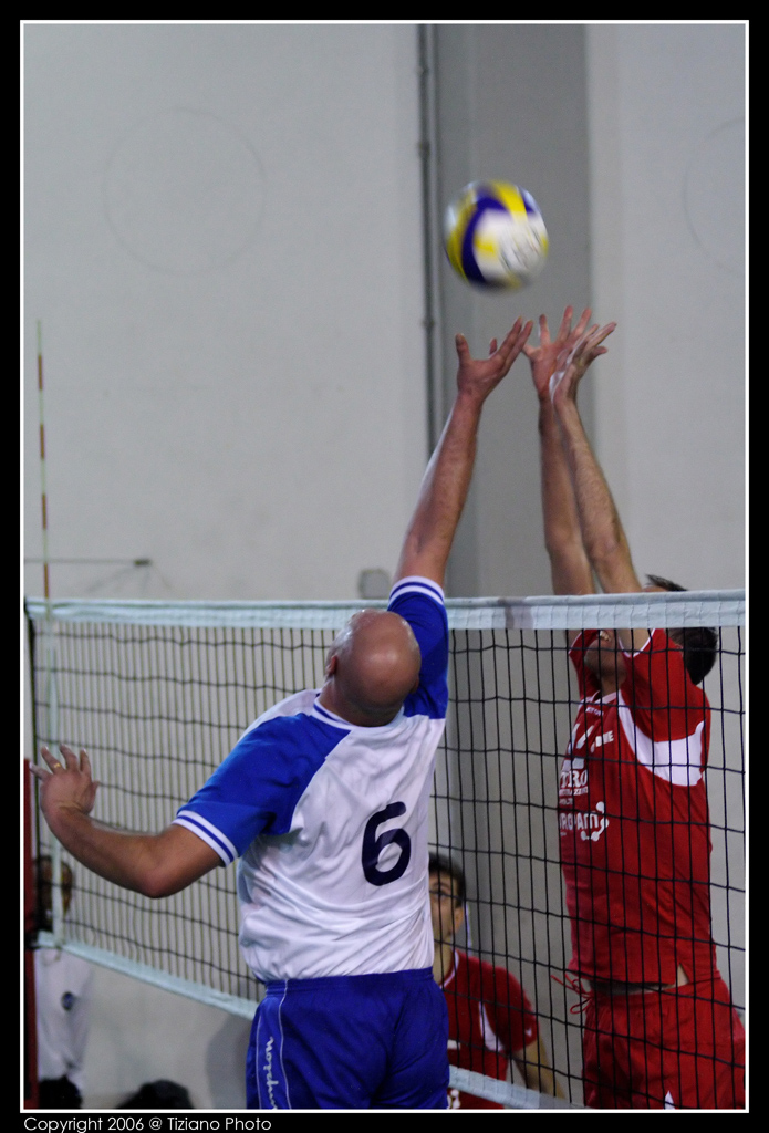 Volley: palla contesa