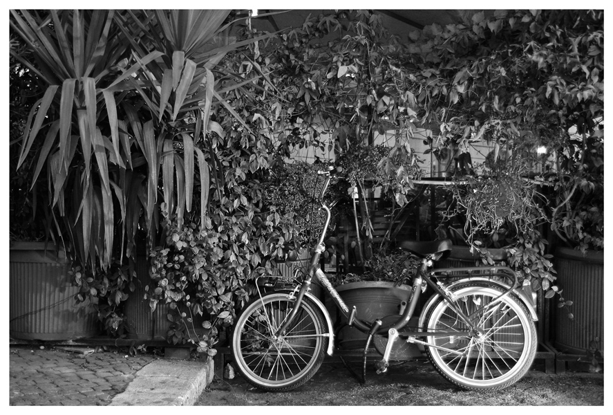 Postcards from Italy