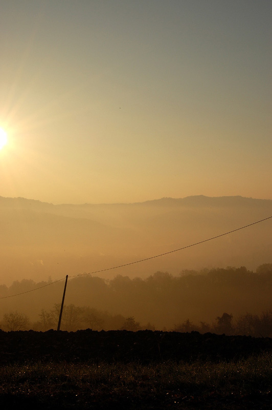 nebbia