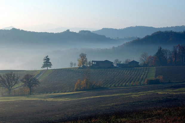 nebbia