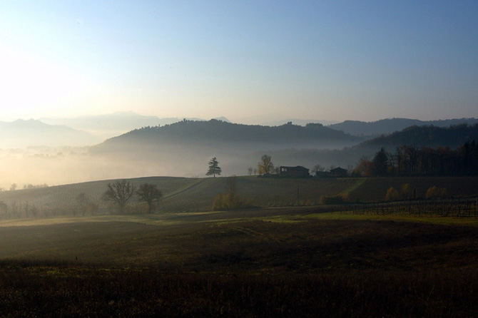 nebbia