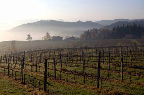 nebbia