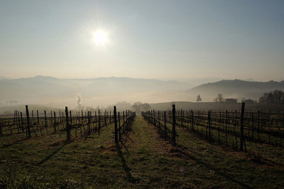 nebbia