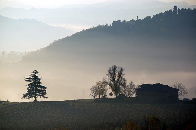 nebbia