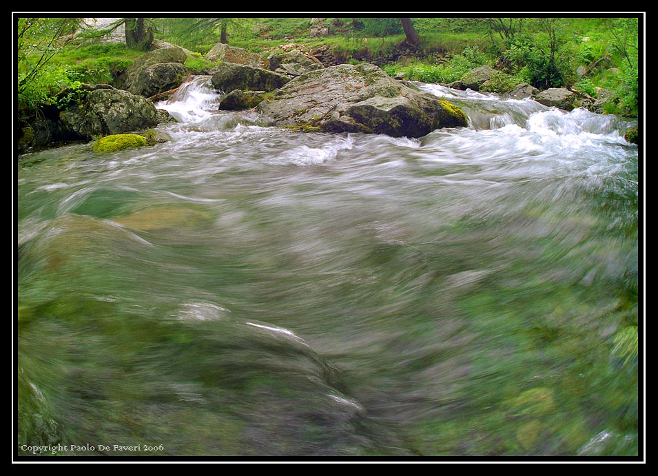 Pian del Valasco, Parco Naturale delle Alpi Marittime, Cuneo. #3