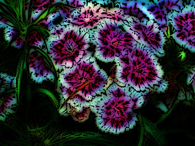 flowers 4