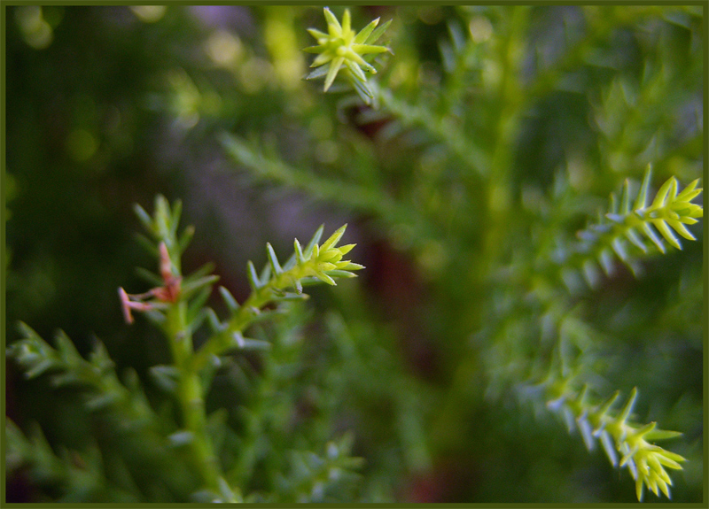 Uscire dal verde