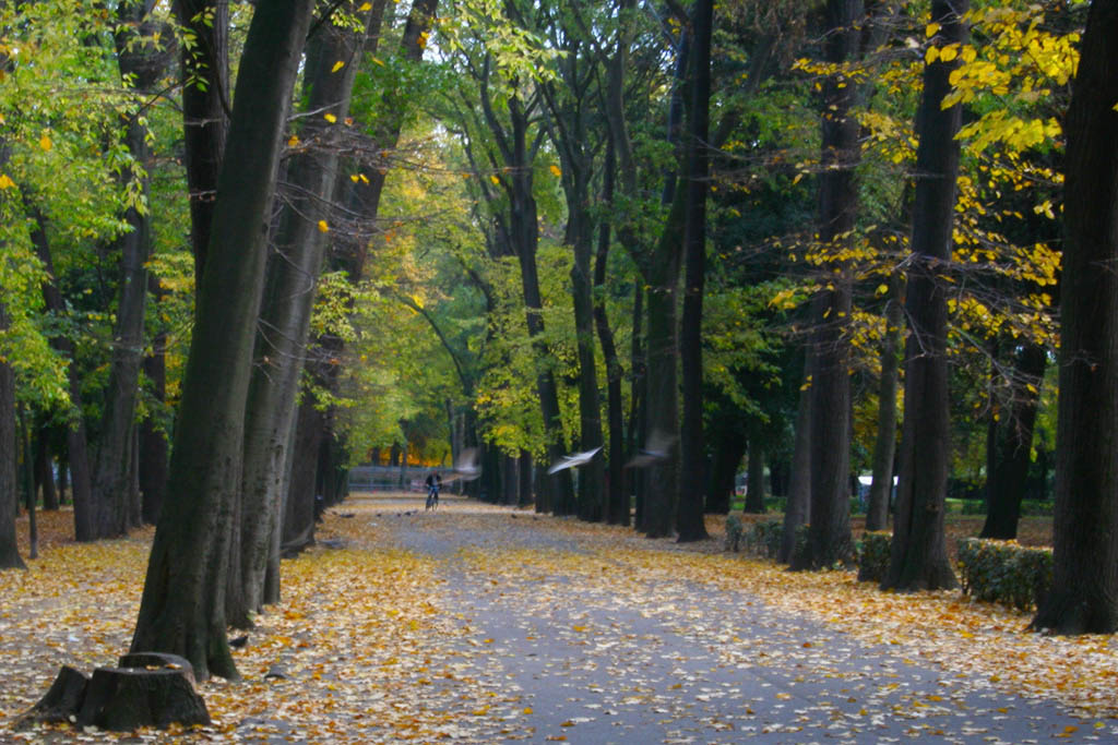 Autunno