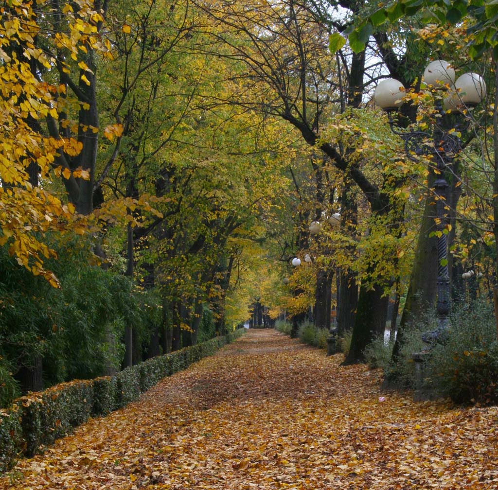 Autunno 2