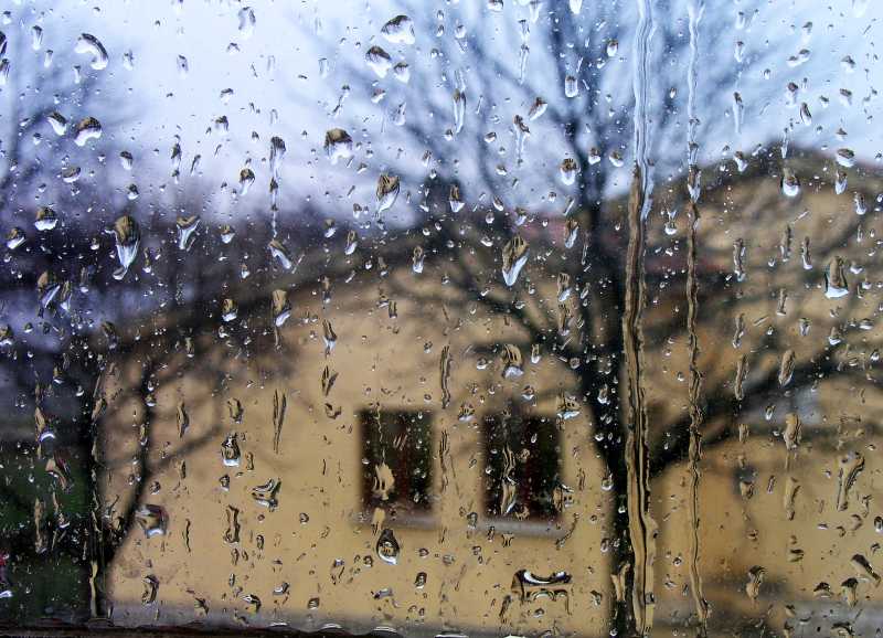 Giornata d'autunno