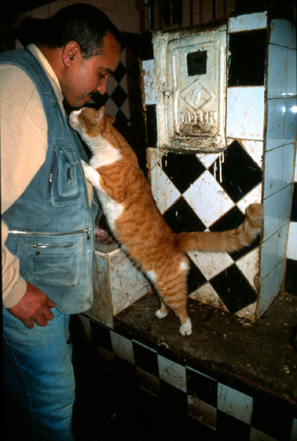 marocco4