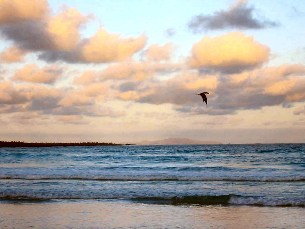 Galapagos - Beach at Sunset 2