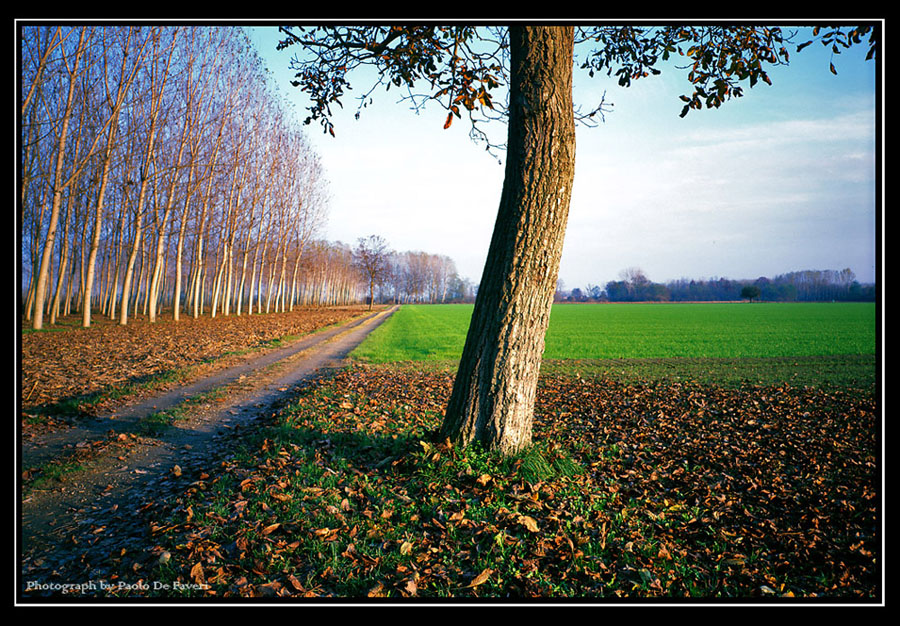La campagna di Carignano, Torino. #5