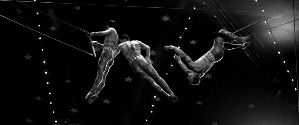 Circo