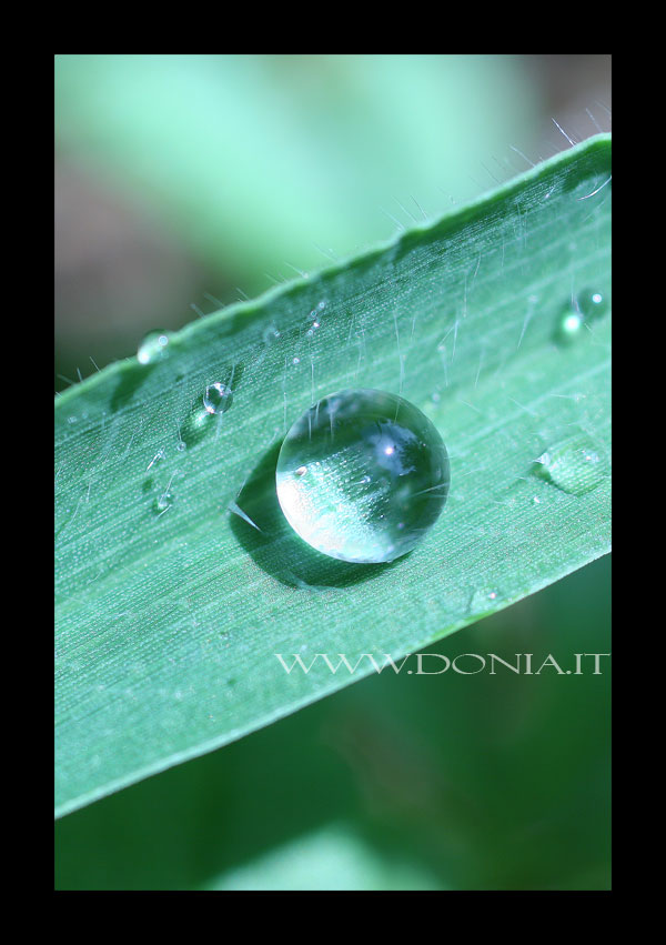 Raindrop