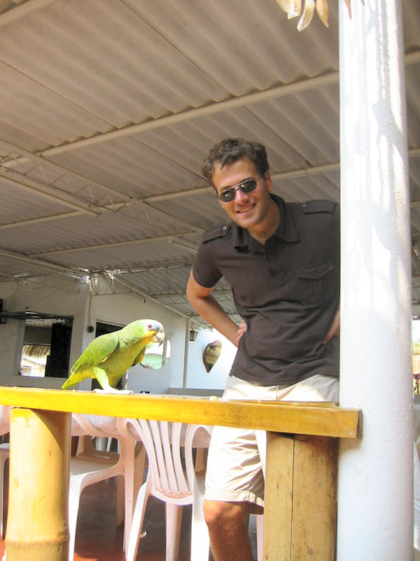 Peruvian Parrot