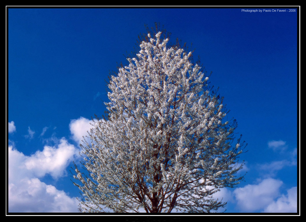 Primavera in Valle Sacra, Piemonte.