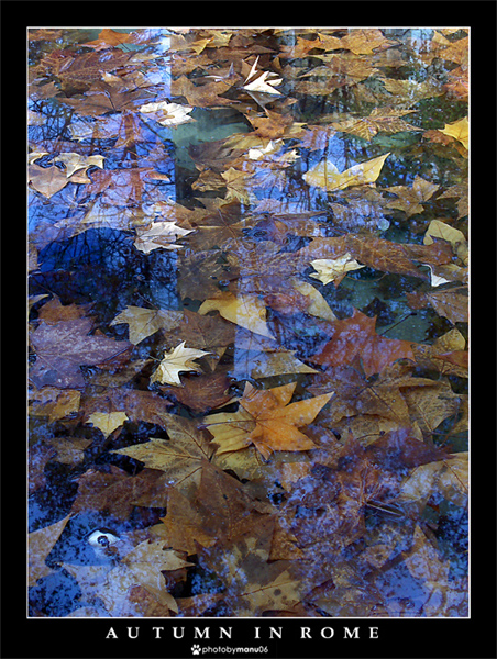 Autumn in Rome#2