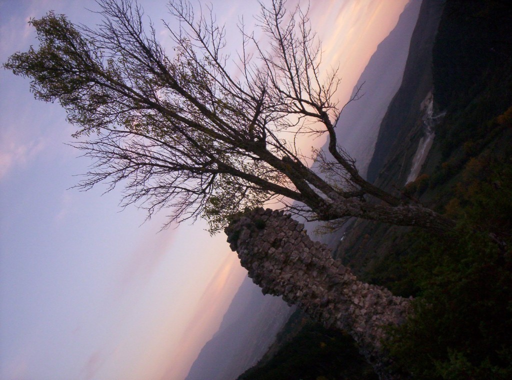 mont4