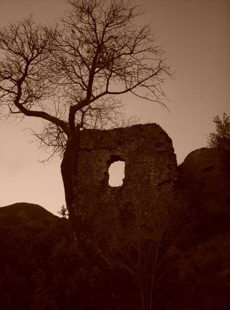 mont5