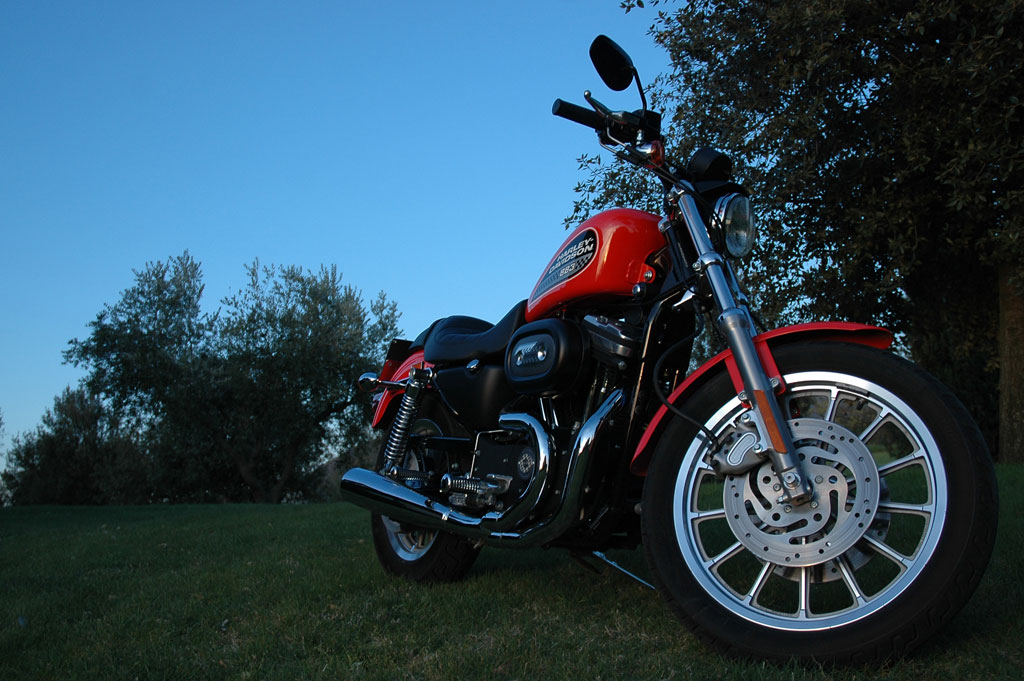Harley 883